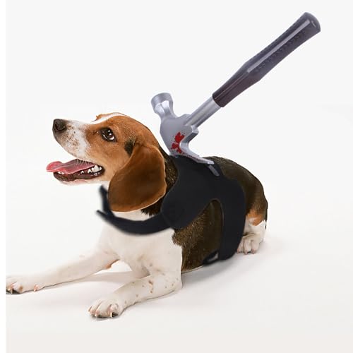 Halloween- und Weihnachts-Horrorkostüme für Haustiere, kreative und interessante Verwandlungskostüme für Katzen und Hunde, lustige Halloween-Kostüme für Haustiere (Black,Small) von QVK