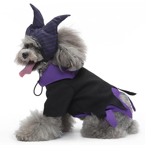 Kreative Halloween-Hexenkostüme für Katzen und Hunde, leicht zu tragendes Design, lustiges Rollenspiel für Halloween-Partys und Fotoshootings (Purple,L) von QVK