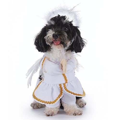 Lustige Halloween-Haustier-Fledermauskostüme, Hunde- und Katzenparty-Rollenspiel-Requisiten, geeignet für Katzen und kleine und mittelgroße Hunde, Halloween-Party-Dekorationen (White,M) von QVK