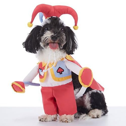 Lustige Halloween-Haustier-Fledermauskostüme, Hunde- und Katzenparty-Rollenspiel-Requisiten, geeignet für Katzen und kleine und mittelgroße Hunde, Halloween-Party-Dekorationen (Yellow,XL) von QVK