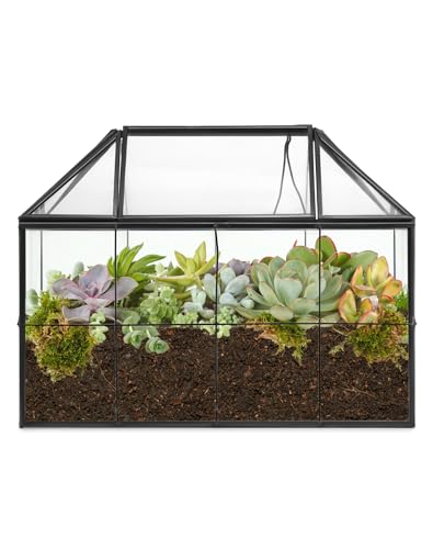 QWORK® Geometrisches Terrarienglas, Pflanzen Terrarium, für Kakteen, Sukkulenten, Schwarz, 22 x 13.5 x 18.5 cm, Ohne Pflanzen von QWORK