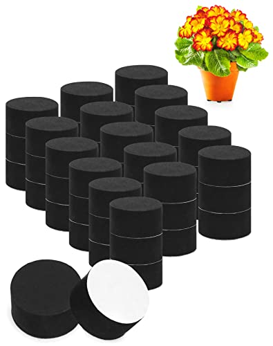 QWORK 40 Stück Blumentopffüße Unsichtbare, mit starker Selbstklebender Unterlage, für Blumentopf und Möbelfüße, um Kratzer auf dem Boden zu vermeiden von QWORK