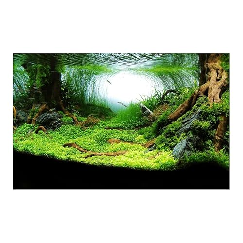 QWWQYDY Aquarium Rückwand Wald-Aufkleber, Aquarium-Hintergrund, Ornament-Poster, Wald-Aquarium-Landschaft, selbstklebendes Aquarium-Trägerpapier(Green,50x100cm) von QWWQYDY