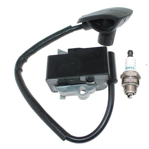 Zündspule kompatibel mit BR350 BR350Z BR430 BR430Z SR430 BR450 BR450C SR450 FITS -Modelle 4244 400 1300 4244 400 13001 4244 400 1303 von QWsdR