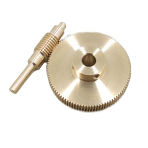 QXSJEDYCH Gehrungsgetriebe 1 Stück Präzisions-Turbo-Schneckengetriebe 0,3 Modul 80T 100T Mikro-Schneckengetriebe 1:80 1:100 Ration Gimbal Instrument Reduziergetriebe Ritzel mechanisch(100 Teeth+5mm wo von QXSJEDYCH