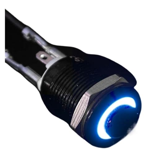 1NO Wasserdichter Metall-Druckknopfschalter mit hohem Kopf, LED-Licht, selbsthemmend/zurücksetzend, 3/6/12/24/220 V, 8/10/12/16 mm, oxidiertes Schwarz(Blue LED (1NO),3-6V_10MM(1NO)_SELF-LOCKING(1NO)) von QXYSLHKC