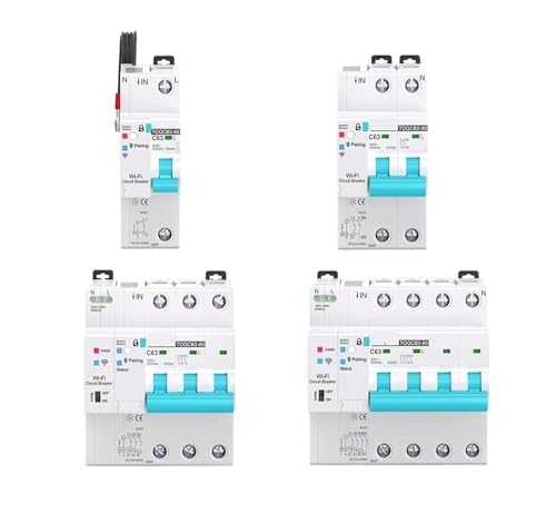 1PCS MCB Messschaltung Breaker Timer Fernbedienung Wireless Interruptor Wiedereinschaltschalter(2P) von QXYSLHKC