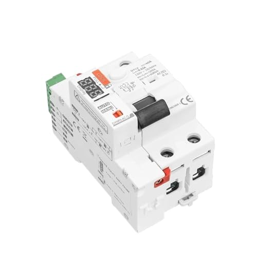 GYAR9 Selbsteinschaltender Leistungsschalter 2P 40A RCCB-Unterbrecher Digitale Anzeige der Schaltzeit 10s 60s 300s(Type A-2P-40A-100mA) von QXYSLHKC
