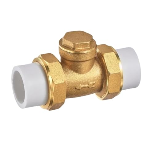 1 Stück BSPT-Innengewinde Messing-Rückschlagventil Doppelte bewegliche Gelenke Einweg-Rückschlagventil Verhindert Wasserrückfluss(20mm) von QYCWHXVDF