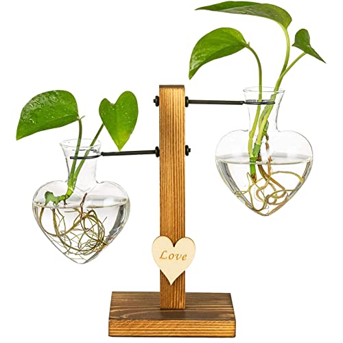 QYEW Desktop Glas Pflanzer Hydroponics Vase - Herz Hydroponic Vintage Vase - Air Planter Terrarium Glasvase - Glas Blumenkübel Vase mit Holzständer - für Gartendekoration von QYEW