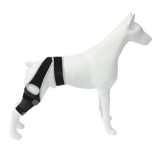 QYJLOFMVE Kniestütze für Hunde, Unterstützung für große und kleine Hunde, die an ACL, CCL, Kreuzbandverletzungen, Patellaluxation oder Arthrose der Hinterbeine Leiden von QYJLOFMVE
