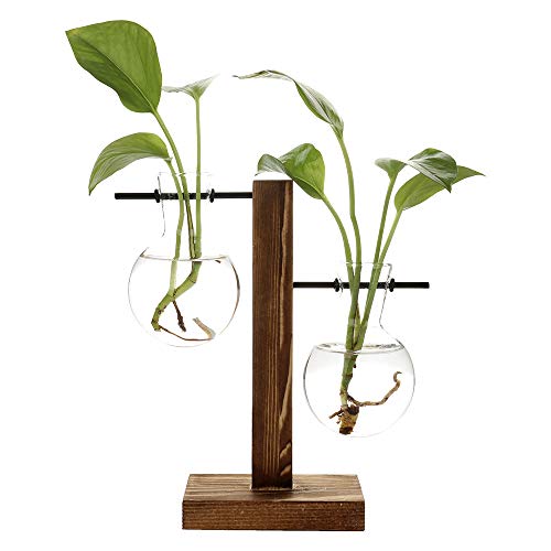 QYLJZB Glas-Pflanzen-Vase mit Retro-Holzständer und Metall-Drehgelenkhalter, Pflanzen-Terrarium für Hydrokulturen, Pflanzen, Zuhause, Garten, Büro, Hochzeitsdekoration von QYLJZB