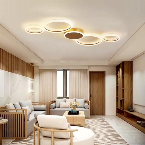 QYSMGS Moderne LED Deckenleuchte Metall Acryl LED Lampen Eingebaute dimmbare Deckenlampe Kreative Spirale Blumenform Design Deckenbeleuchtung Acryl Deckenleuchte Farbwechselbar (Gold, 100CM) von QYSMGS