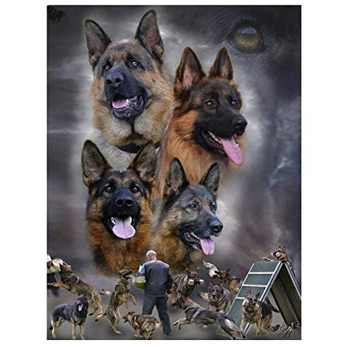 QYYTYM 5D DIY Diamond Painting Set Deutscher Schäferhund 5D DIY Volldiamant Kristall Strass Stickerei Kreuzstich Handwerk Leinwand Wanddekoration(30 * 40) cm von QYYTYM