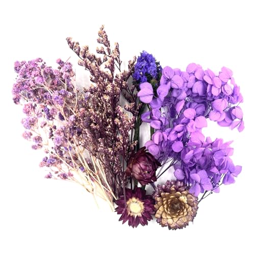QZKJQDD Getrocknete Blumen, Trockenblumen Zum Basteln, Getrocknete Blumen, Trockenblumen Klein, Für DIY Handwerk Dekoration Epoxidharz Handwerk Scrapbooking Kartenherstellung (lila Anzug) von QZKJQDD