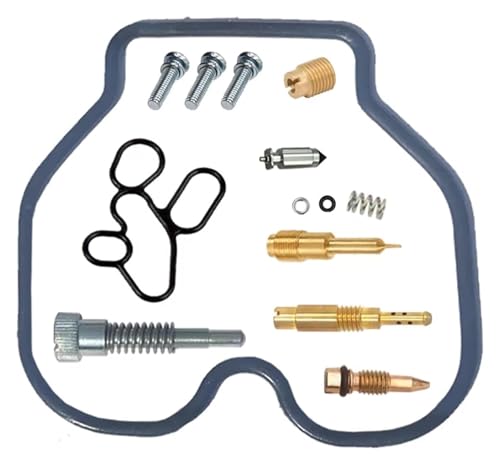 Für CBR125R Motorrad Vergaser Reparatursatz vergaser dichtungen reparatursatz(B) von QZQXEMEDQ