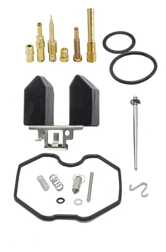Für TMX 125 CG125 XL125S TRX250 TRX 250EX Für Recon Carb 125cc ATV Dirt Bike CRF XR100 Motorrad Vergaser Reparatur Kit vergaser dichtungen reparatursatz(PZ26-B-XLB) von QZQXEMEDQ