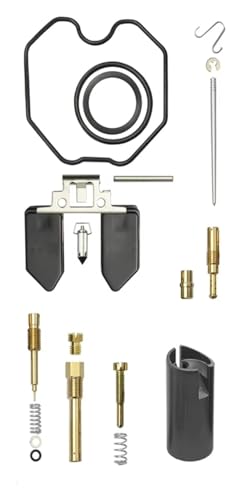 Für TMX 125 CG125 XL125S TRX250 TRX 250EX Für Recon Carb 125cc ATV Dirt Bike CRF XR100 Motorrad Vergaser Reparatur Kit vergaser dichtungen reparatursatz(PZ26-XLB) von QZQXEMEDQ