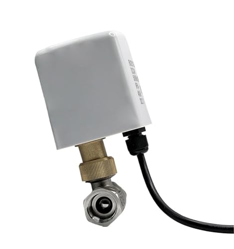 DN15 DN20 DN25 304 Edelstahl-Kugelhahn Drei Drähte eine Steuerung Motorisierter AC220V(3/4",24VDC_CR02) von QZROPXOH