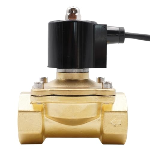 Normalerweise geschlossenes Magnetventil for Unterwasserbrunnen, Ventil for laufende Brunnen, G3/8" bis G2", AC220V DC24V, wasserdicht(2",AC 24V_VITON) von QZROPXOH