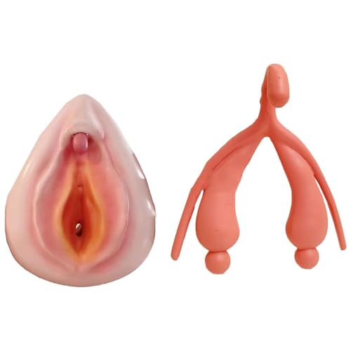 2 Stück Weibliches GynäKologisches Puppen Vulva Kombinationsmodell Menschliches Anatomisches Modell Medizinisches Lehrmodell für Unterricht Im Klassenzimmer Anzeigeunterricht 2 Stück Weibliches GynäKologisches Puppen Vulva Kombinationsmodell Menschliches Anatomisches Modell Medizinisches Lehrmodell für Unterricht Im Klassenzimmer Anzeigeunterricht von QZYGWCS