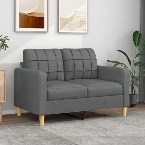 QZZCED 2-Sitzer-Sofa Dunkelgrau Multifunktionales Sofa Wohnzimmersofas für Büro 120 cm Stoff von QZZCED