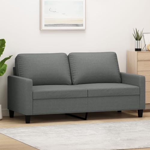 QZZCED 2-Sitzer-Sofa Dunkelgrau Multifunktionales Sofa Wohnzimmersofas für Schlafzimmer 140 cm Stoff von QZZCED