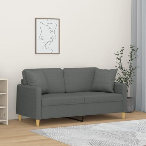 QZZCED 2-Sitzer-Sofa mit Zierkissen Dunkelgrau Wohnzimmersofa Schlafzimmersofas für Büro 140 cm Stoff von QZZCED