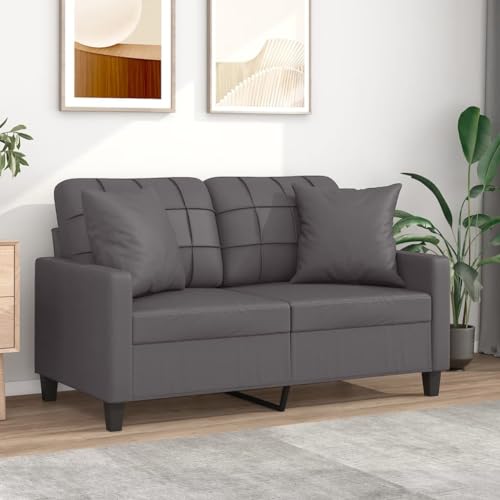 QZZCED 2-Sitzer-Sofa mit Zierkissen Grau Wohnzimmersofas Multifunktionales Sofa für Wohnzimmer 120 cm Kunstleder von QZZCED