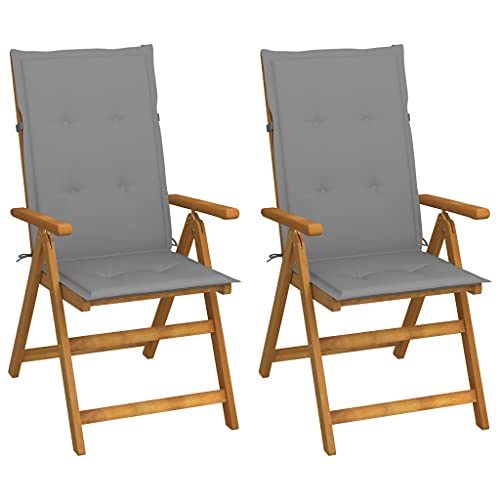 QZZCED Garten-Liegestühle 2 STK. mit Kissen Akazie Massivholz Terrassenstühle Freizeitstühle für Rasenflächen von QZZCED