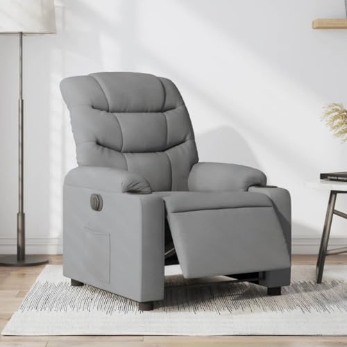 QZZCED Relaxsessel Elektrisch Hellgrau Stoff Lesesessel Küchenstuhl für Schlafzimmer Küche von QZZCED