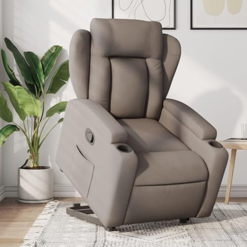 QZZCED Relaxsessel mit Aufstehhilfe Taupe Stoff Schlafzimmerstuhl Wartezimmerstuhl für Büro Schlafzimmer von QZZCED