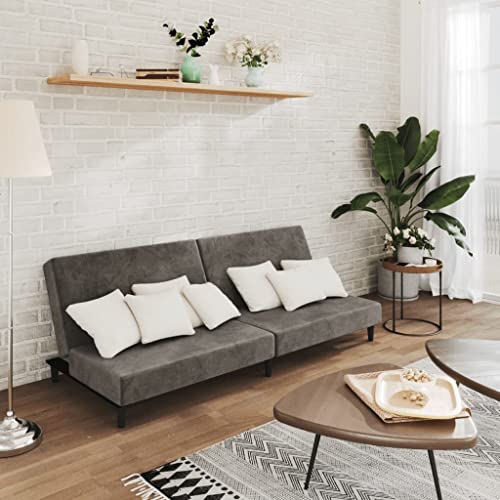 QZZCED Schlafsofa 2-Sitzer Dunkelgrau Samt Wohnzimmersofa Wohnzimmersofas für Hotel von QZZCED