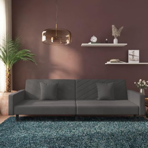 QZZCED Schlafsofa 2-Sitzer mit 2 Kissen Dunkelgrau Samt Schlafzimmersofas Wohnzimmersofas für Wohnzimmer von QZZCED