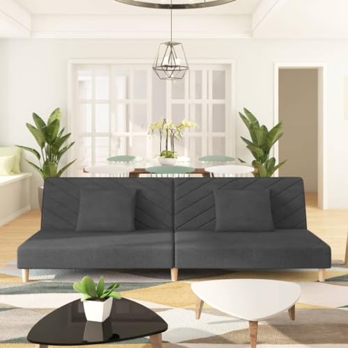 QZZCED Schlafsofa 2-Sitzer mit 2 Kissen Dunkelgrau Stoff Wohnzimmersofas Multifunktionales Sofa für Schlafzimmer von QZZCED