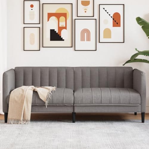 QZZCED Sofa 2-Sitzer Taupe Stoff Multifunktionales Sofa Bürosofas für Gästehaus von QZZCED