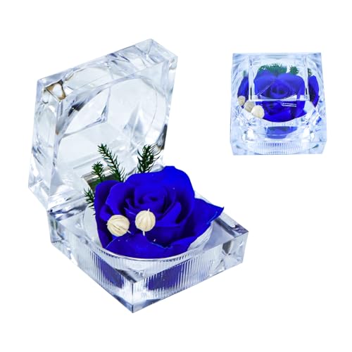 Qaixwuyi Konservierte Rose Echte Forever Rose Clear Ring Box Ewige Blume Rose Geschenke für Frauen Mama Freundin Oma Muttertag Jahrestag Valentinstag Weihnachten Geburtstag Blau von Qaixwuyi