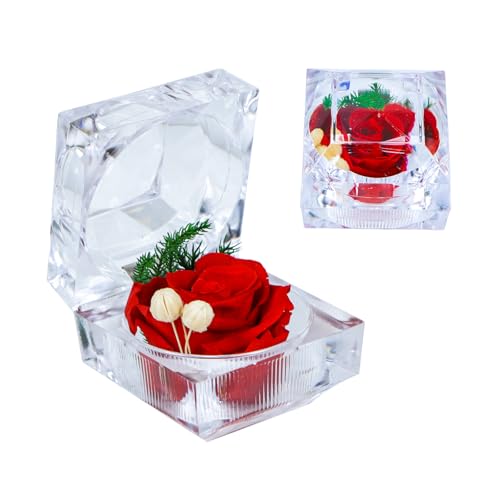 Qaixwuyi Konservierte Rose Echte Forever Rose Mini Clear Ring Box Ewige Blume Rose Geschenke für Frauen Mama Freundin Oma Muttertag Jahrestag Valentinstag Weihnachten Geburtstag Rosa von Qaixwuyi