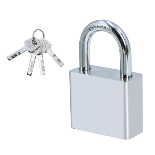 Qaixwuyi Vorhängeschloss mit Schlüssel 30 mm Metall Schlösser Garten Vorhängeschloss Silber Lagerhaus mit 4 Schlüsseln für Schränke Garagen Spind Garten Zäune von Qaixwuyi