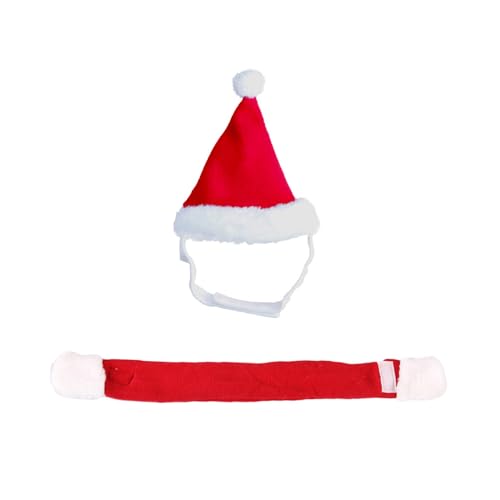 Weihnachts-Outfit für Hunde, Weihnachtsmannmütze und Schal, lustiges Kostüm, Urlaubsparty für Winterfeste, Haustier-Weihnachtsoutfits, Weihnachtsmütze für große Hunde von Qaonsciug