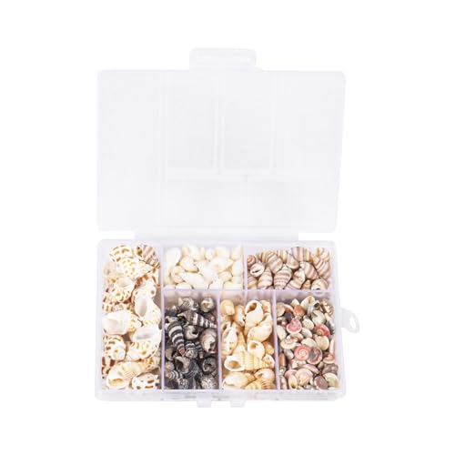 Muscheln,Muscheln Deko,100 Stücke 1-4cm Muschel Muschelmix Deko Muschel Klein Muscheln zum Basteln für Aquarium Strand-Themenparty DIY Handwerk Vase Füllstoffe von Qaziuy