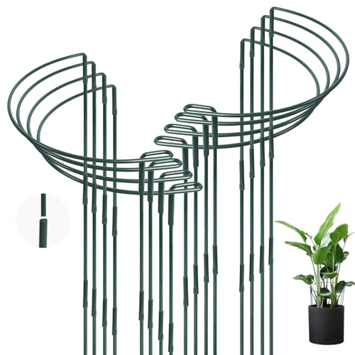 Qaziuy 25 x 60cm Pflanzenstütze, 8 Stück Metall Pflanzenhalter Halbrund Pflanzenstützring, Staudenhalter, Pflanzenringe Rund, Blumenstütze für Pfingstrosen, Hortensien, Gemüse,Tomaten, Topfpflanzen Qaziuy 25 x 60cm Pflanzenstütze, 8 Stück Metall Pflanzenhalter Halbrund Pflanzenstützring, Staudenhalter, Pflanzenringe Rund, Blumenstütze für Pfingstrosen, Hortensien, Gemüse,Tomaten, Topfpflanzen von Qaziuy