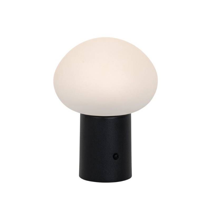 Qazqa Außen-Stehlampe Louise, LED fest integriert, (nicht austauschbare) LED, Schwarz, Design, Kunststoff, 1-flammig von Qazqa