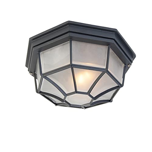 Qazqa - Landhaus I Vintage Landhaus Außen Deckenleuchte I Deckenlampe I Lampe I Leuchte dunkelgrau IP44 - Bri L. I Außenbeleuchtung - Aluminium Rund - LED geeignet E27 von Qazqa