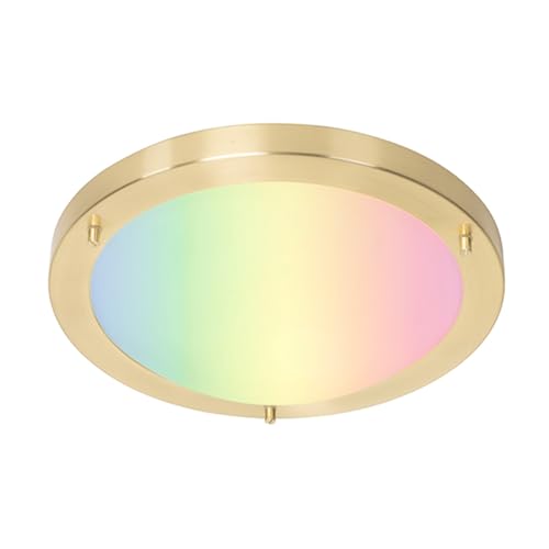 Qazqa - Modern Smarte Außen Deckenleuchte I Deckenlampe I Lampe I Leuchte Gold I Messing 31 cm IP44 inkl. Wifi A60 - Yuma Dimmer I Dimmbar I Außenbeleuchtung - Stahl Rund - LED geeignet E27 von Qazqa