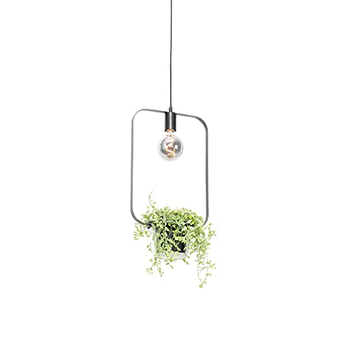 Qazqa - Moderne Hängelampe I Pendellampe I Pendelleuchte schwarz mit Glas rechteckig - Roslini I Wohnzimmer I Schlafzimmer - Stahl Rechteckig - LED geeignet E27 Qazqa - Moderne Hängelampe I Pendellampe I Pendelleuchte schwarz mit Glas rechteckig - Roslini I Wohnzimmer I Schlafzimmer - Stahl Rechteckig - LED geeignet E27 von Qazqa