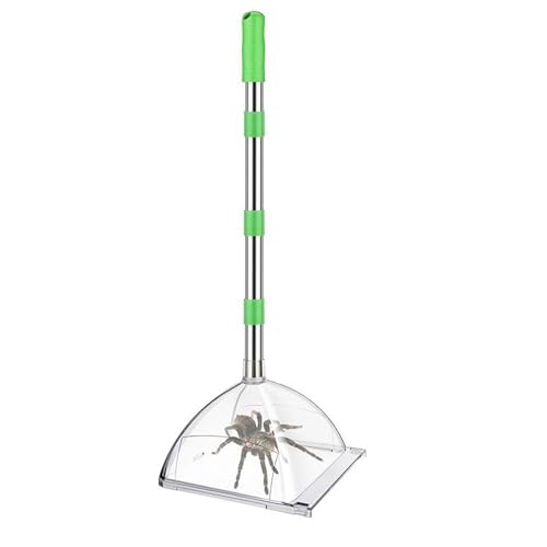 Professionelles Wespen-Auffanggerät, 81,3 cm, verstellbarer Griff für Spinnen, Entfernung, Zuhause, Camping, verstellbare Länge, Fänger für Schlafzimmer/Outdoor von Qcbuegof
