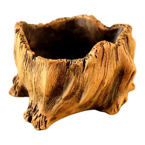 Qcbuegof Dekorative Betonucculents Pflanzer Zement Blumenpots Imitieren Stümpfe Designs Für Gartenflächen Innen Freien Freien Gebrauch Bonsais Decors Pflanzer von Qcbuegof