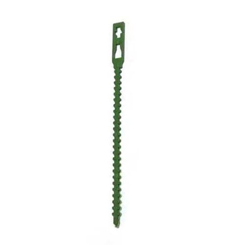 Qcbuegof Pflanzenbefestigungsbinder Drahtseil mit Verriegelungsmechanismus geeignet für sichere Gartenstrauchformung einfach zu bedienen 50 x verstellbare Pflanzenbinder Qcbuegof Pflanzenbefestigungsbinder Drahtseil mit Verriegelungsmechanismus geeignet für sichere Gartenstrauchformung einfach zu bedienen 50 x verstellbare Pflanzenbinder von Qcbuegof