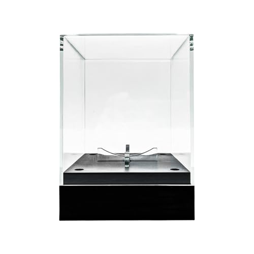 Transparente Baseball-Vitrine, Acryl, quadratisch, Baseball-Halter, Display-Ständer mit LED-Licht, Acrylwürfel, Baseballbox mit LED-Licht von Qcbuegof